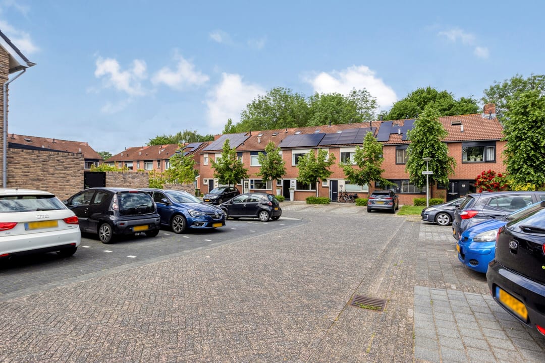 Photo 43 of Zilverschoon 226