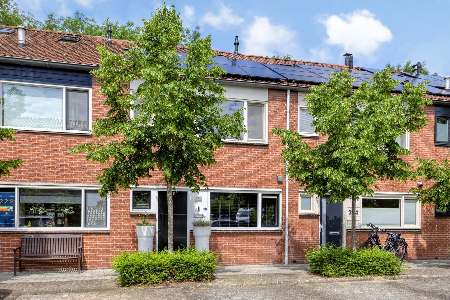Photo 40 of Zilverschoon 226