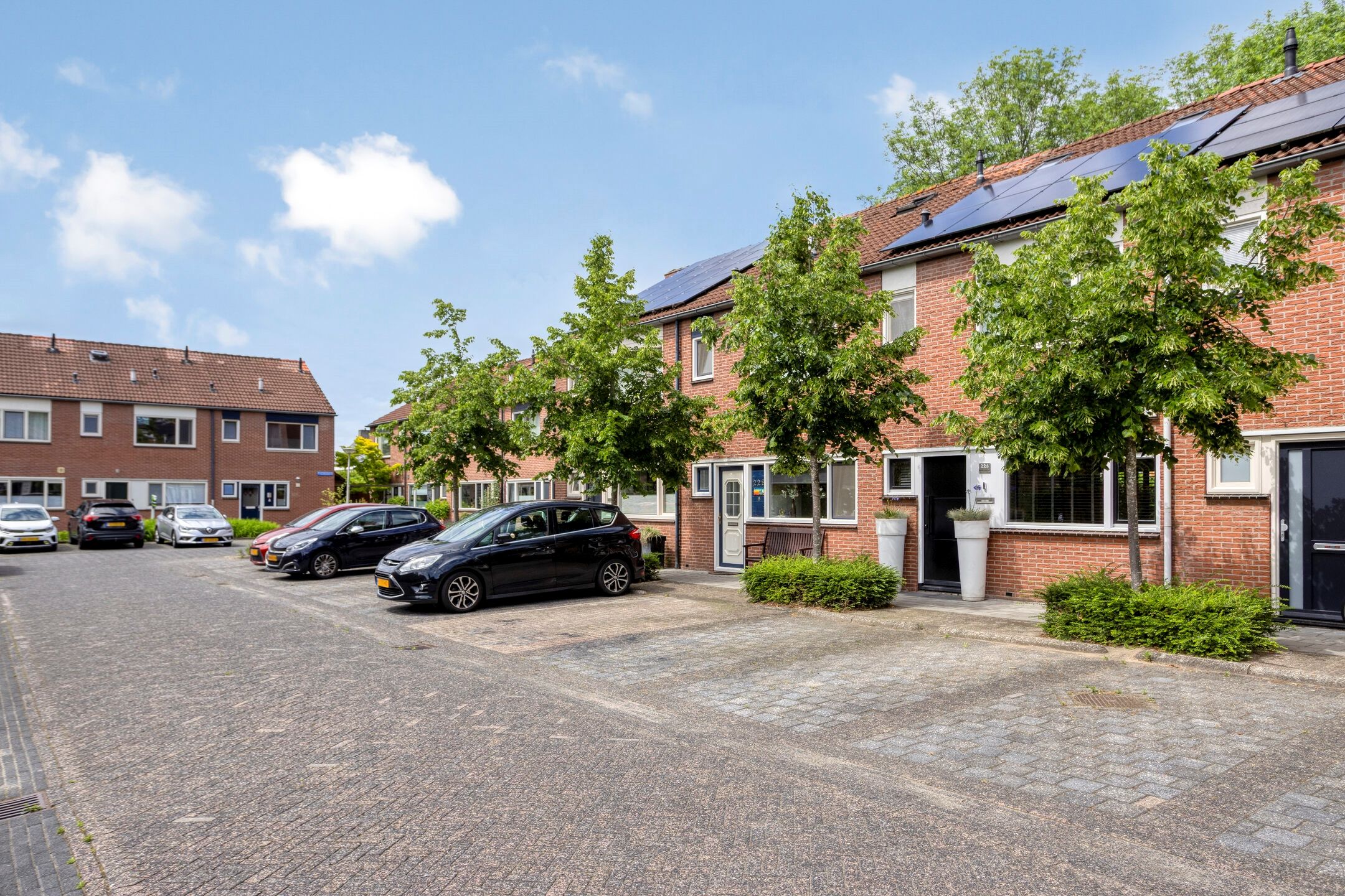 Photo 42 of Zilverschoon 226