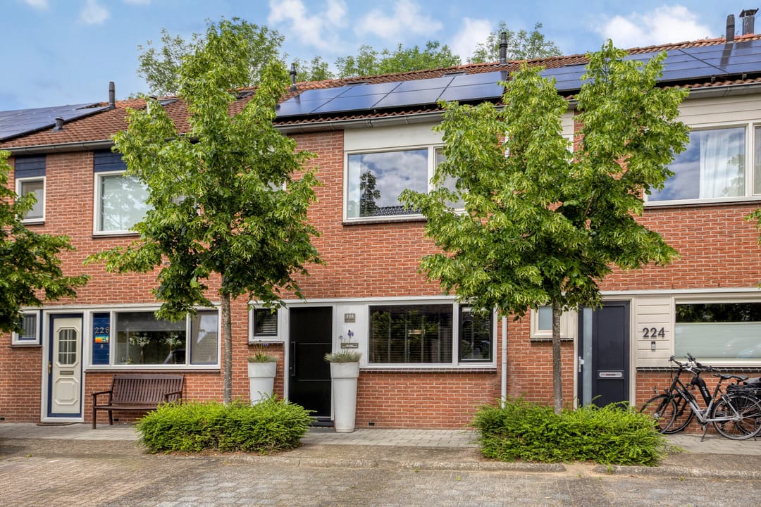 Photo 41 of Zilverschoon 226