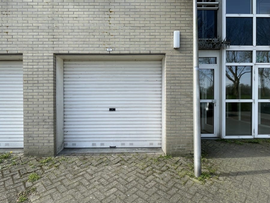 Foto 13 van Hermelijnvlinder 85