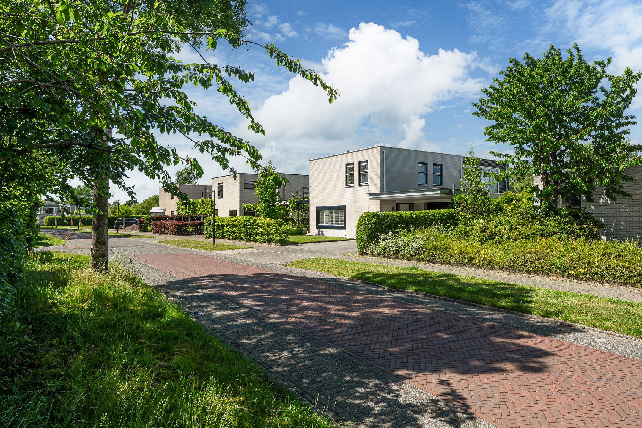 Foto 66 van Broekfinne 38