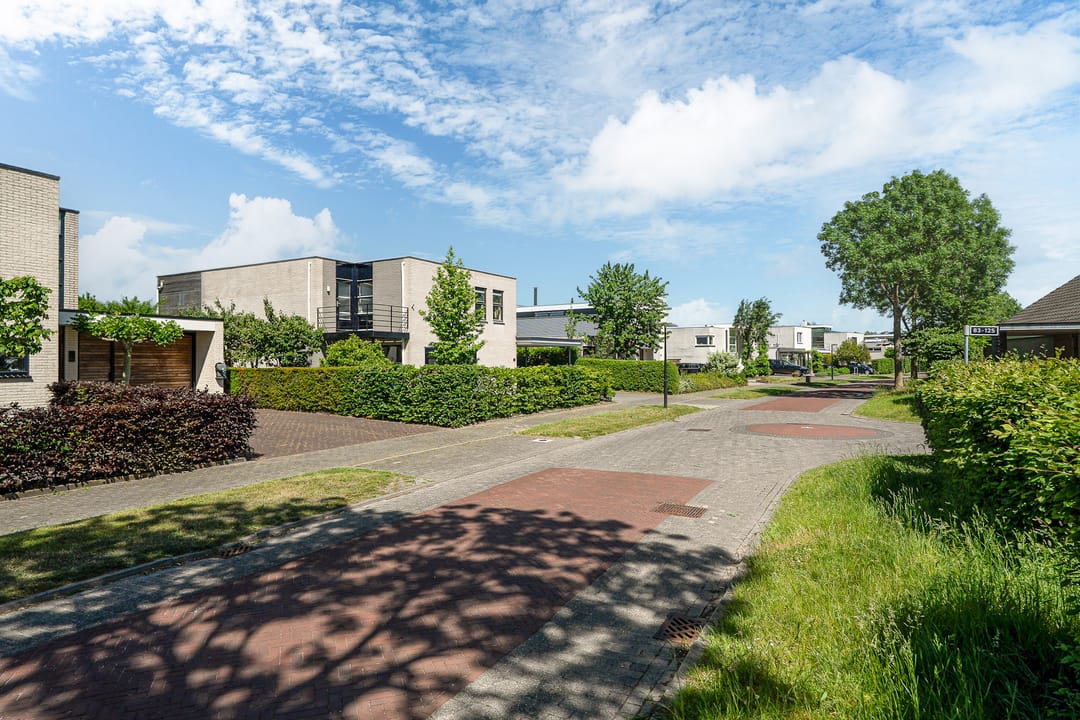 Foto 67 van Broekfinne 38