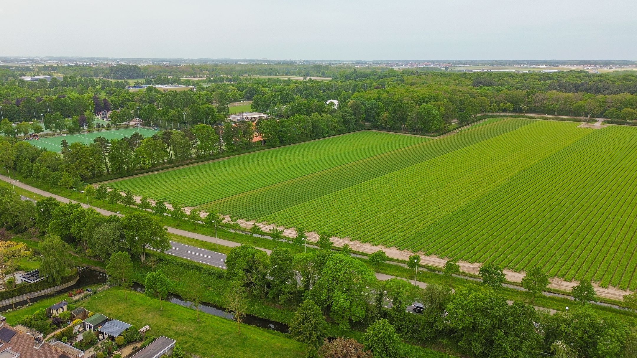 Photo 42 of Lindenlaan 15