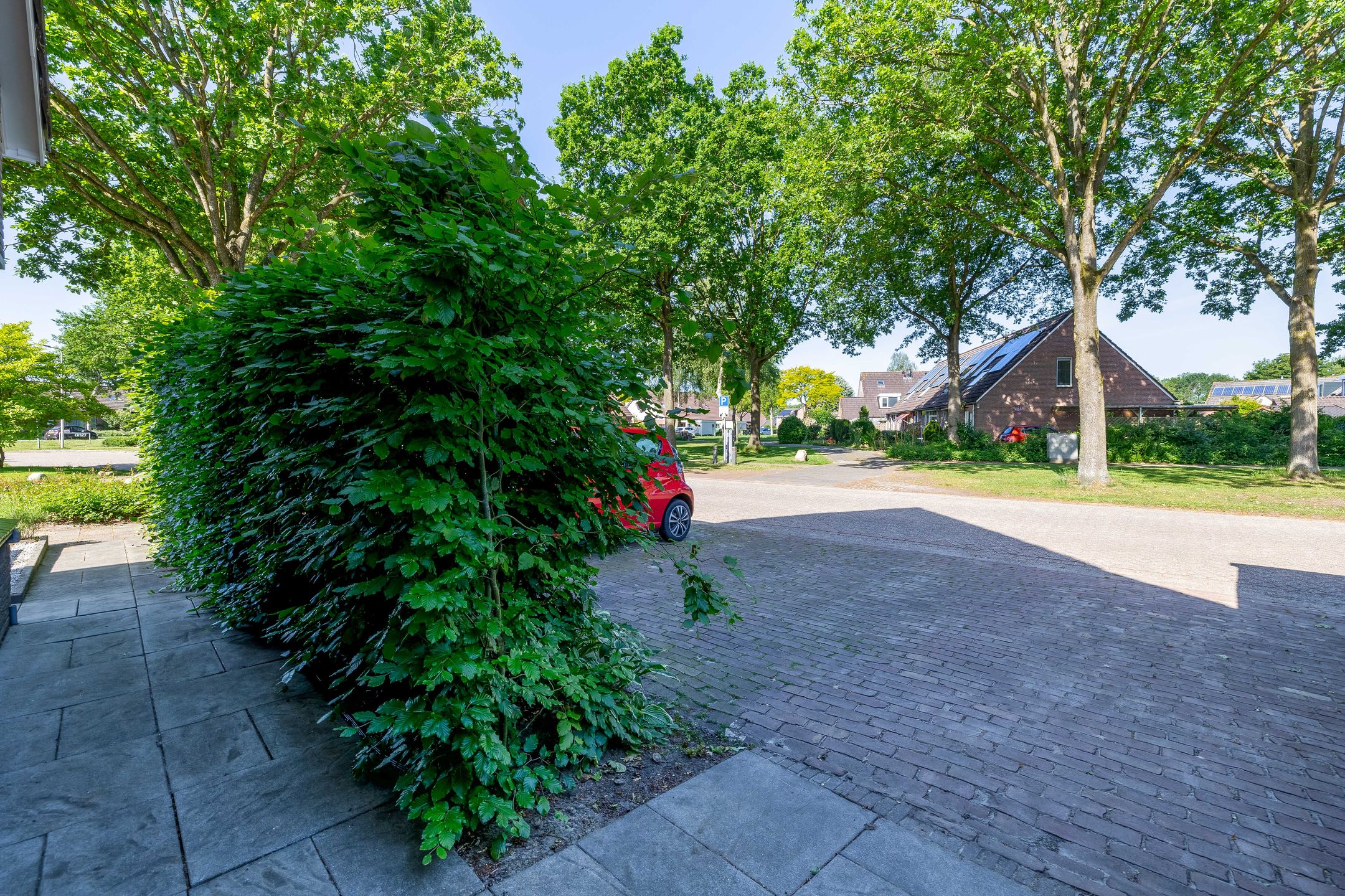 Photo 51 of De Haar 19