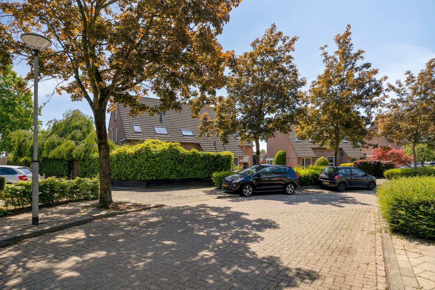 Photo 59 of Van Deelenstraat 99