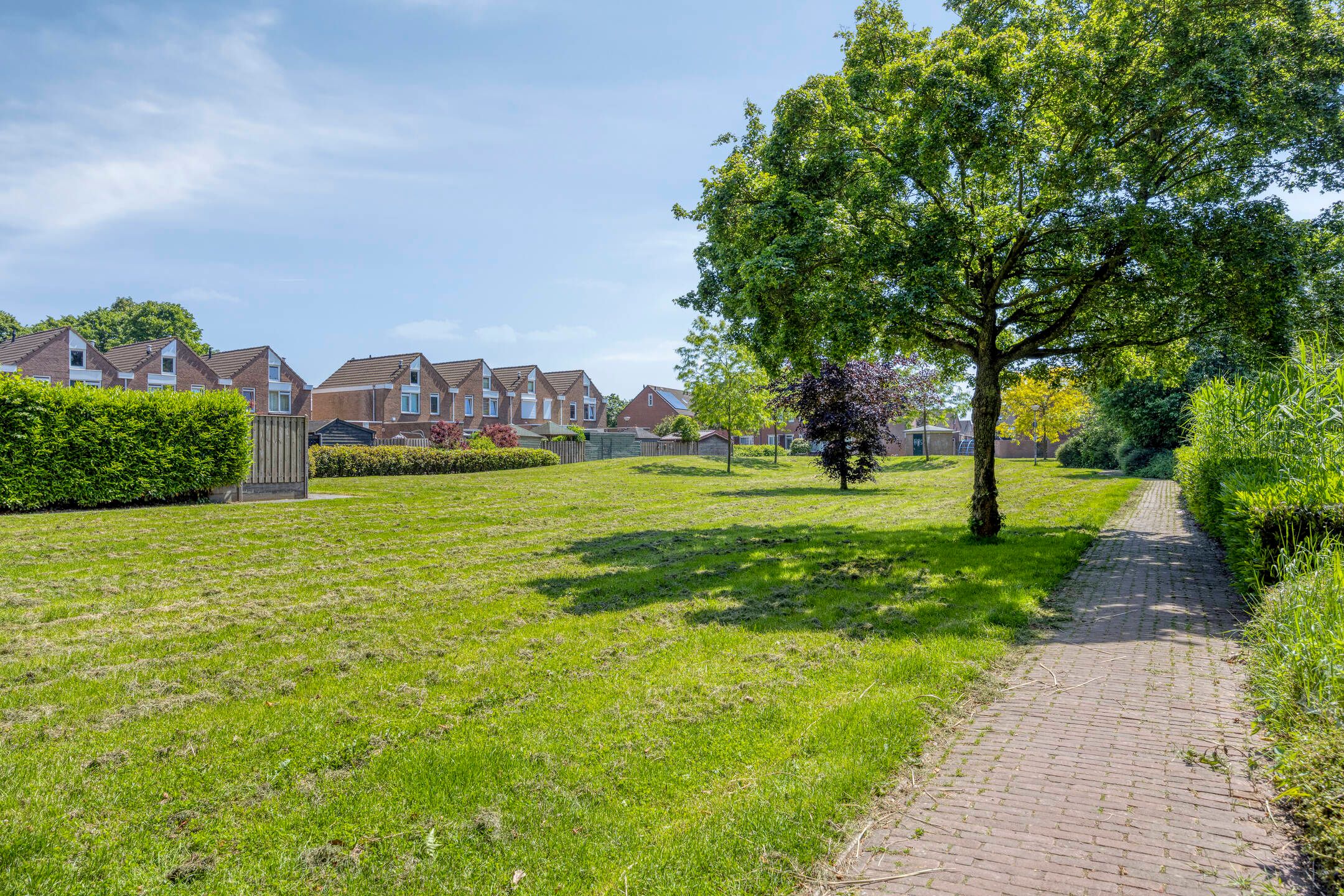 Photo 63 of Van Deelenstraat 99