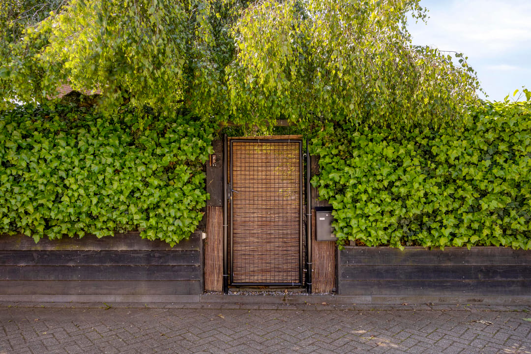 Photo 58 of Van Deelenstraat 99