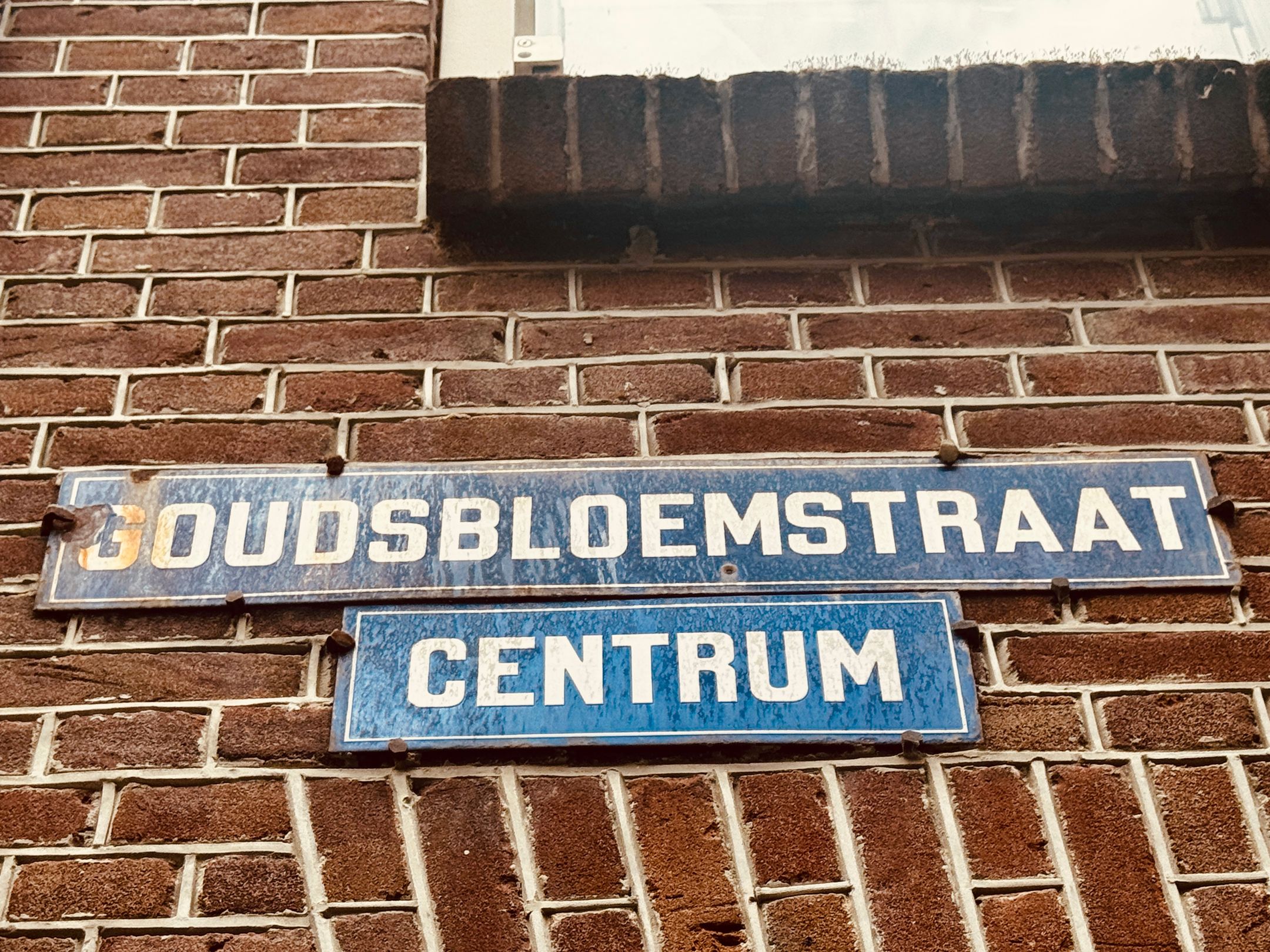 Photo 27 of Goudsbloemstraat 118-D