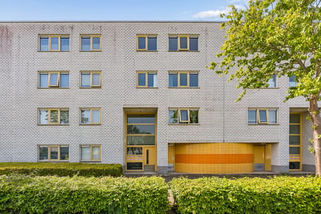 Gitaarstraat thumbnail