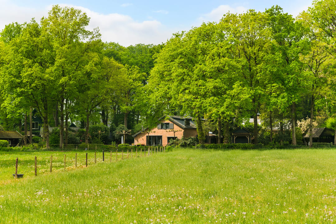 Photo 43 of Engweg 46