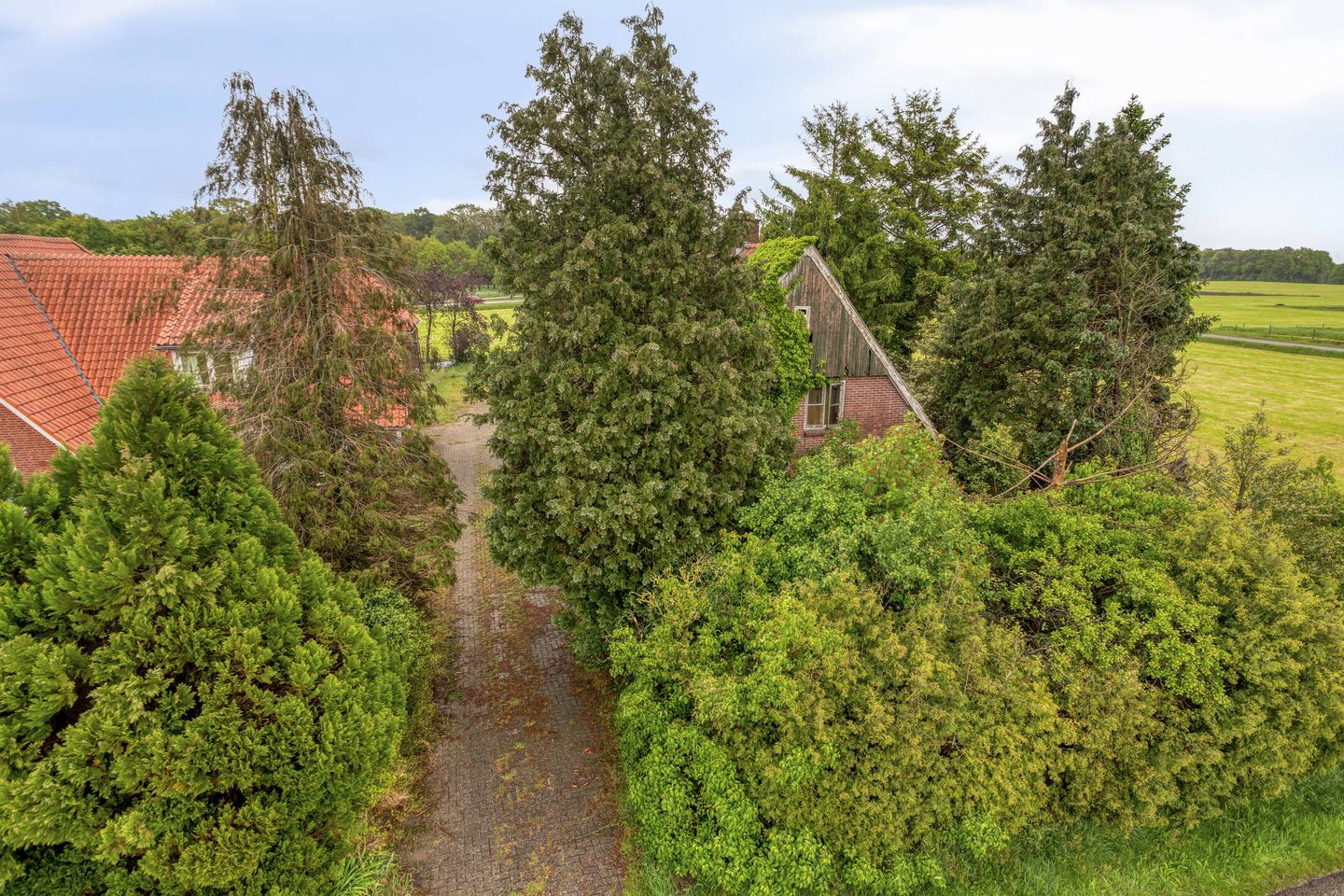 Oude Dijk - Denekamp - Afbeelding 6