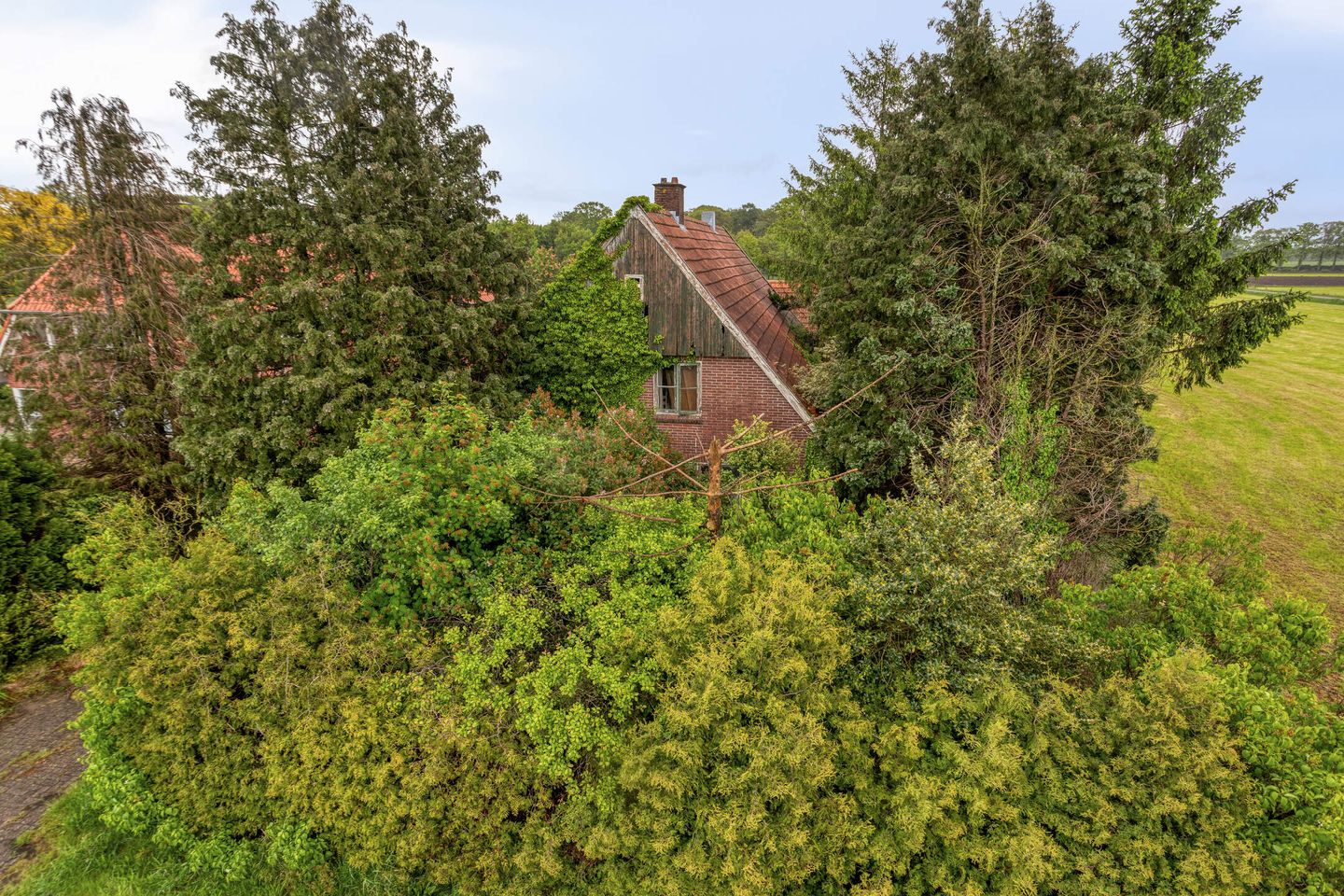 Oude Dijk - Denekamp - Afbeelding 7