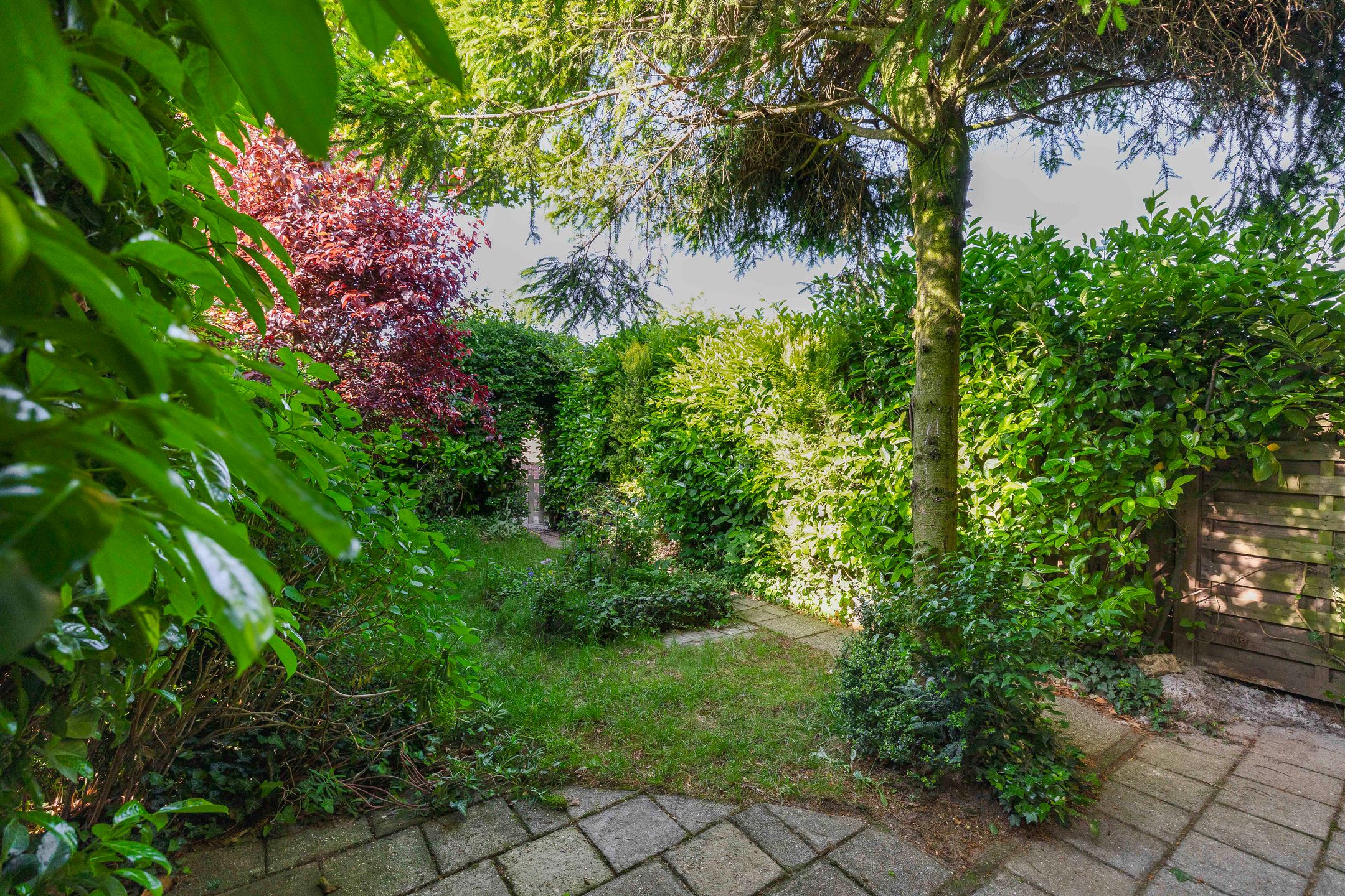 Photo 15 of Honigmannstraat 17