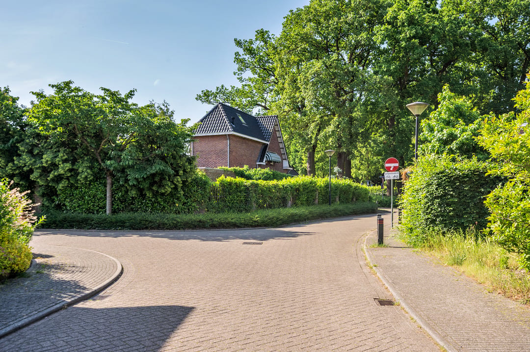 Photo 58 of Robijn 17
