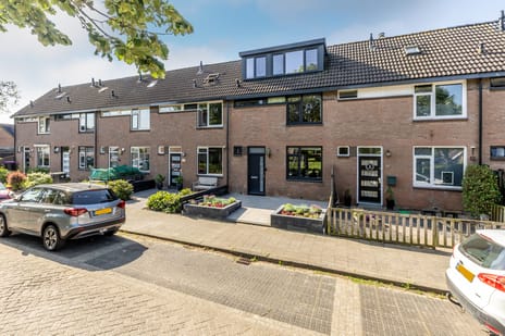 Paardebloemstraat thumbnail