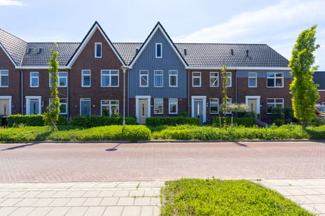 Waterweide thumbnail