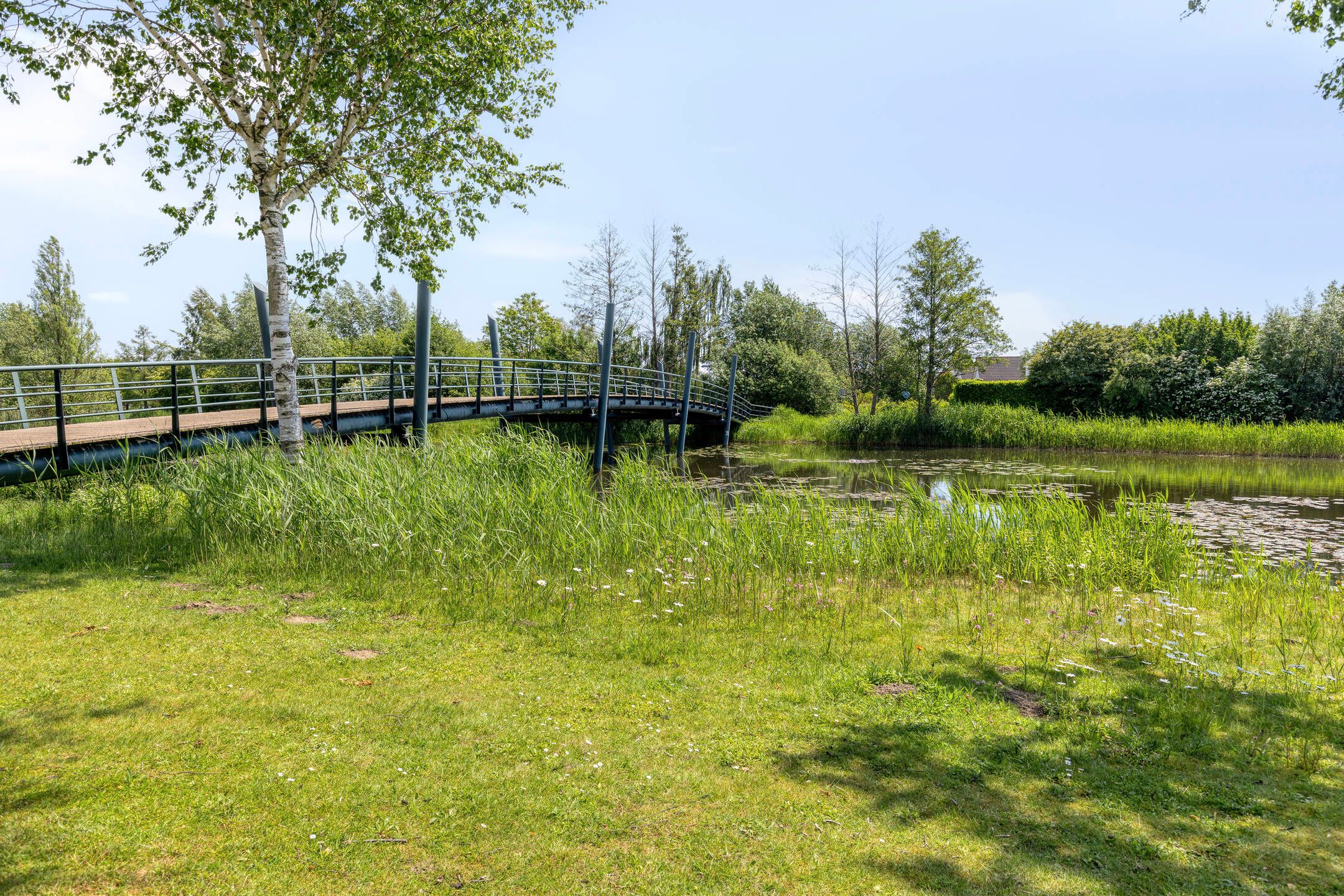 Foto 48 van Malaxisbeek 2