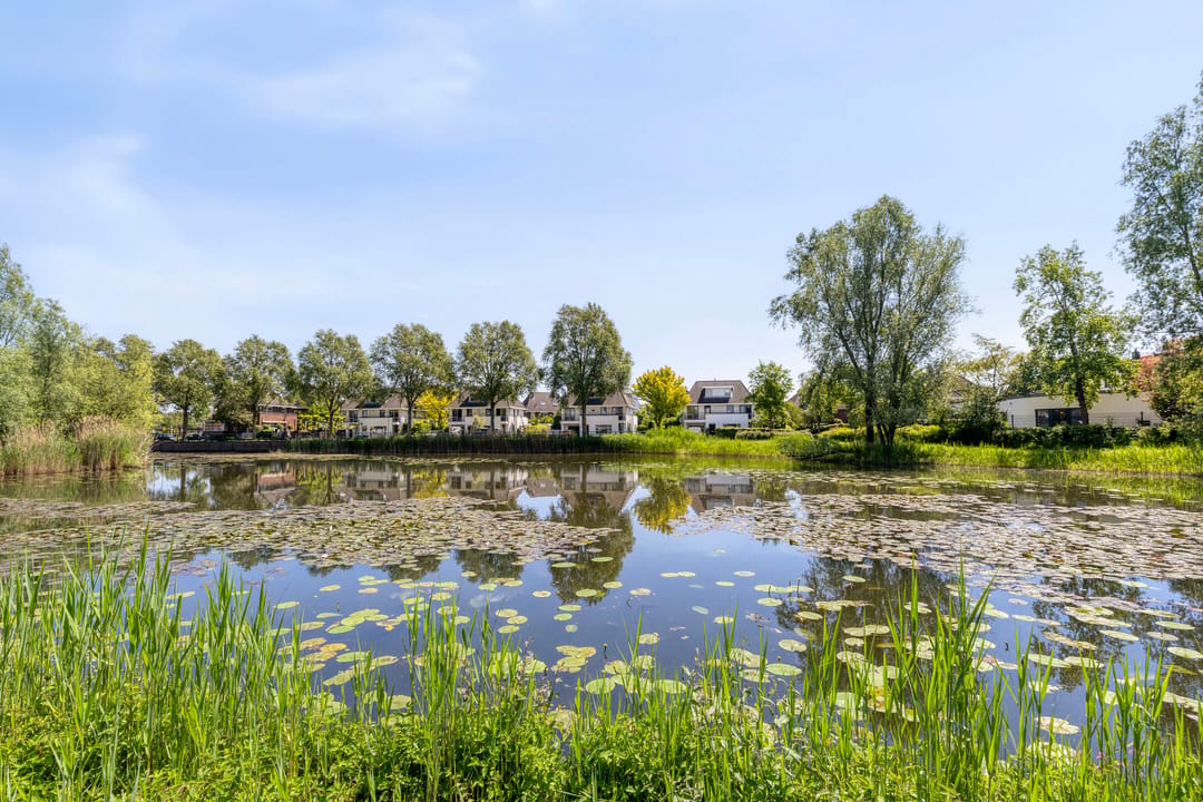 Foto 47 van Malaxisbeek 2