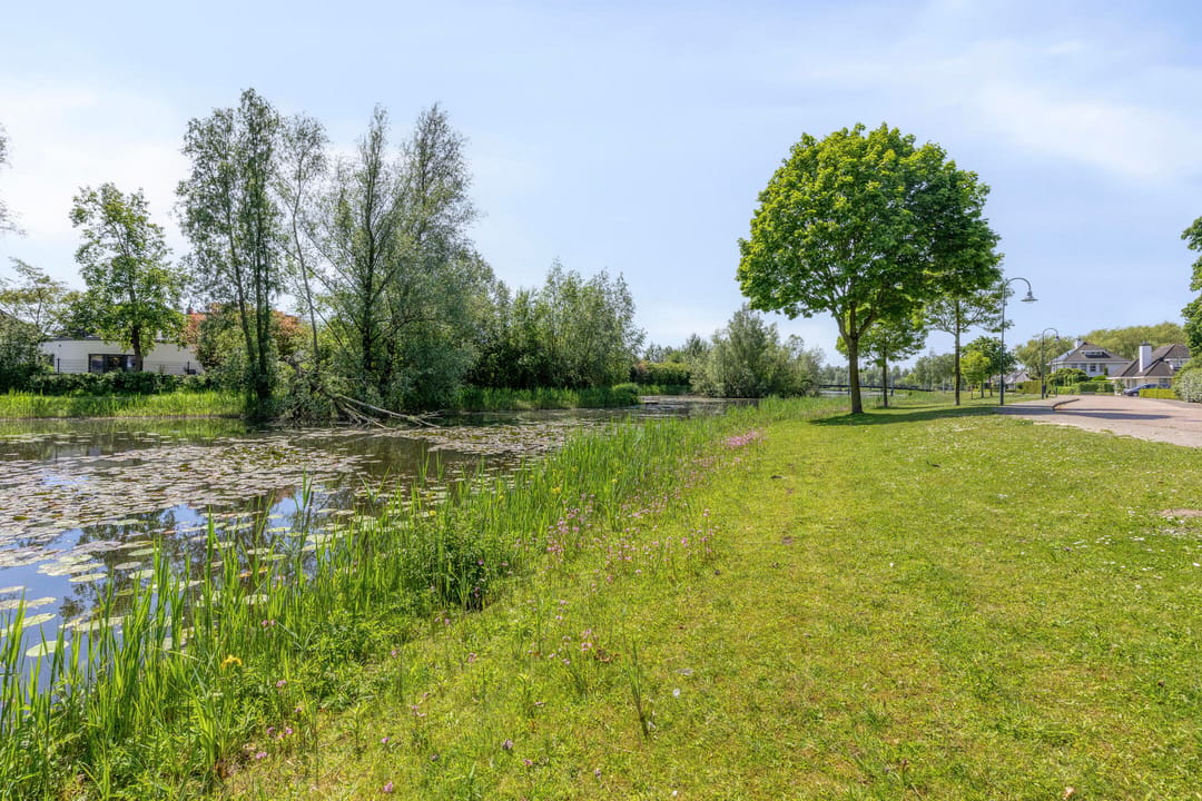 Foto 47 van Malaxisbeek 2