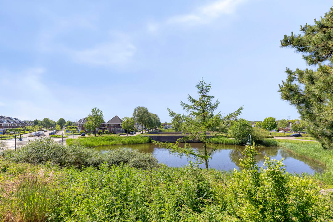 Foto 46 van Malaxisbeek 2