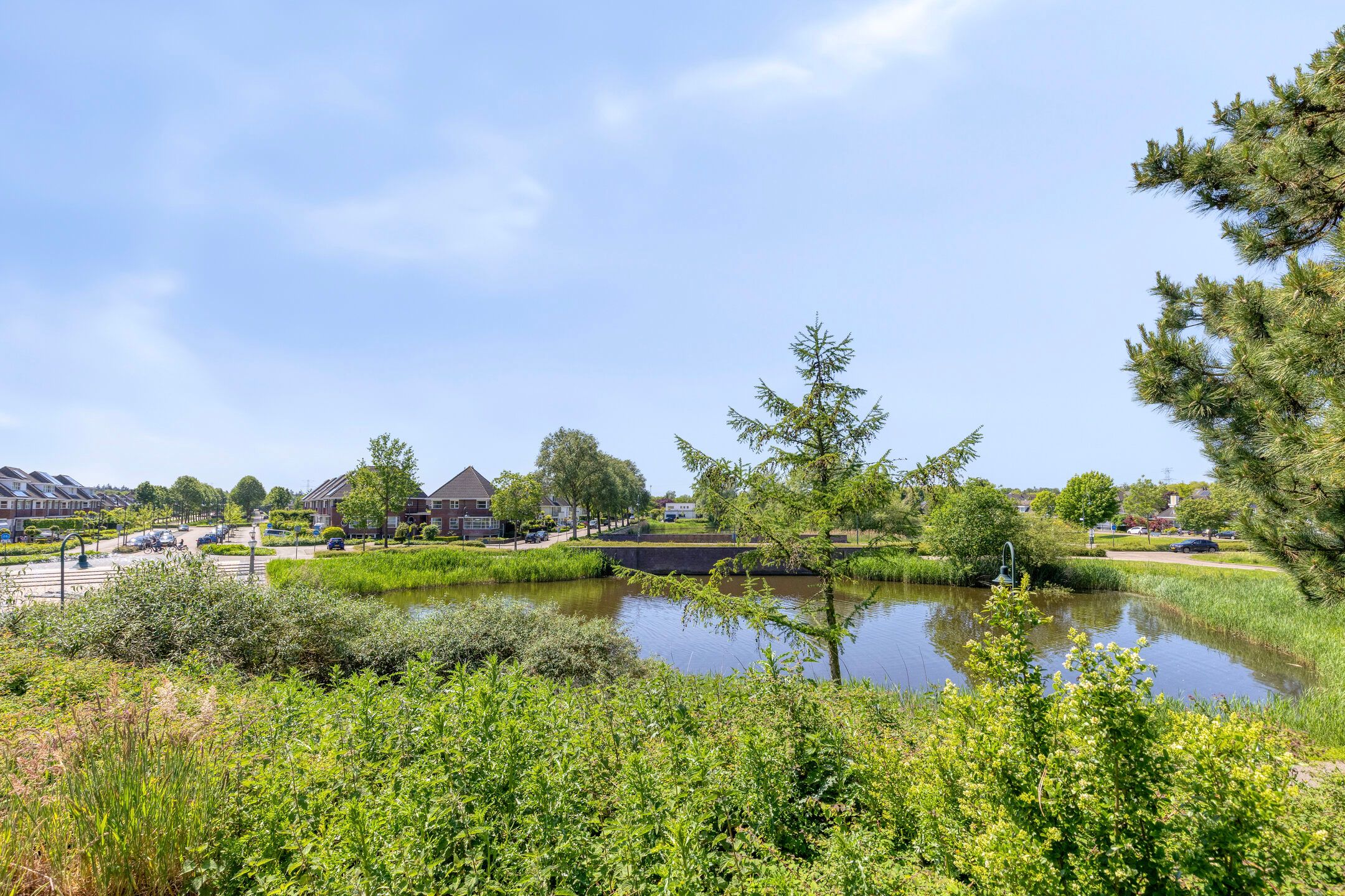 Foto 45 van Malaxisbeek 2