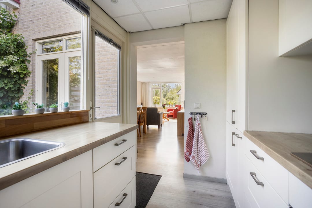 Photo 13 of Zwanebloem 1
