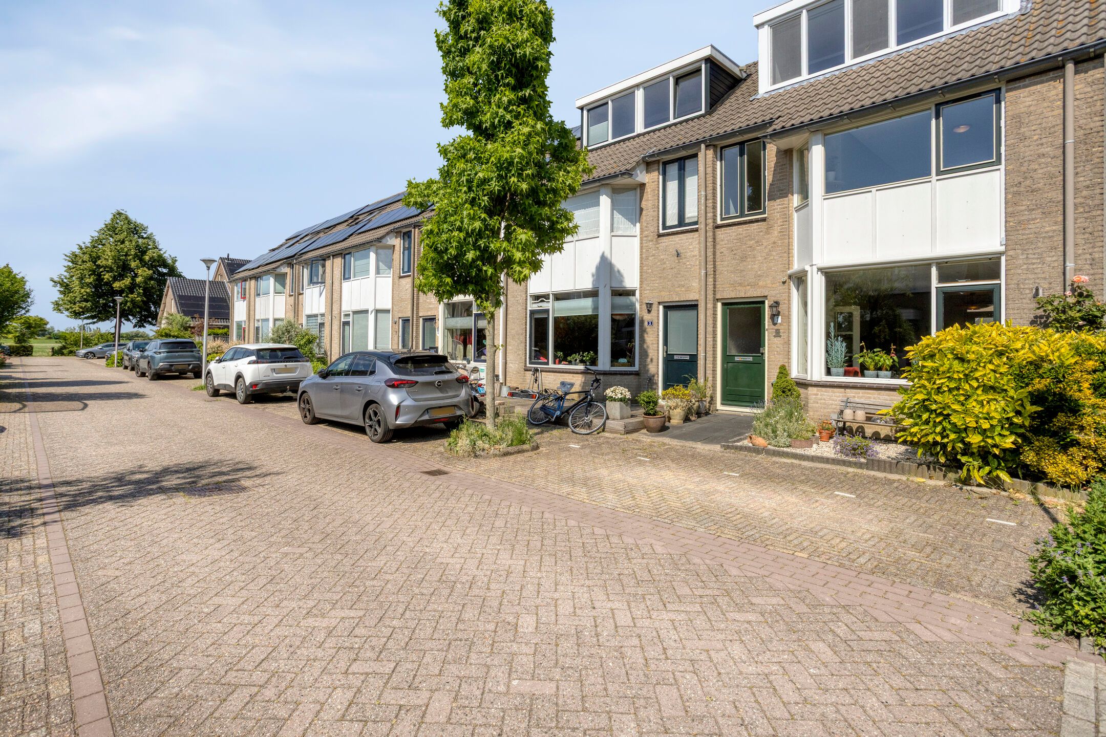 Photo 36 of Zwanebloem 1
