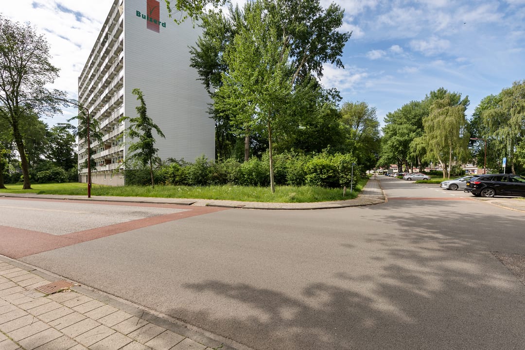 Foto 47 van Buizerd 34