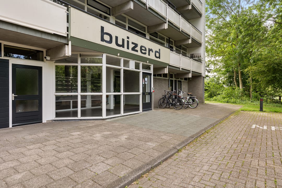 Foto 1 van Buizerd 34