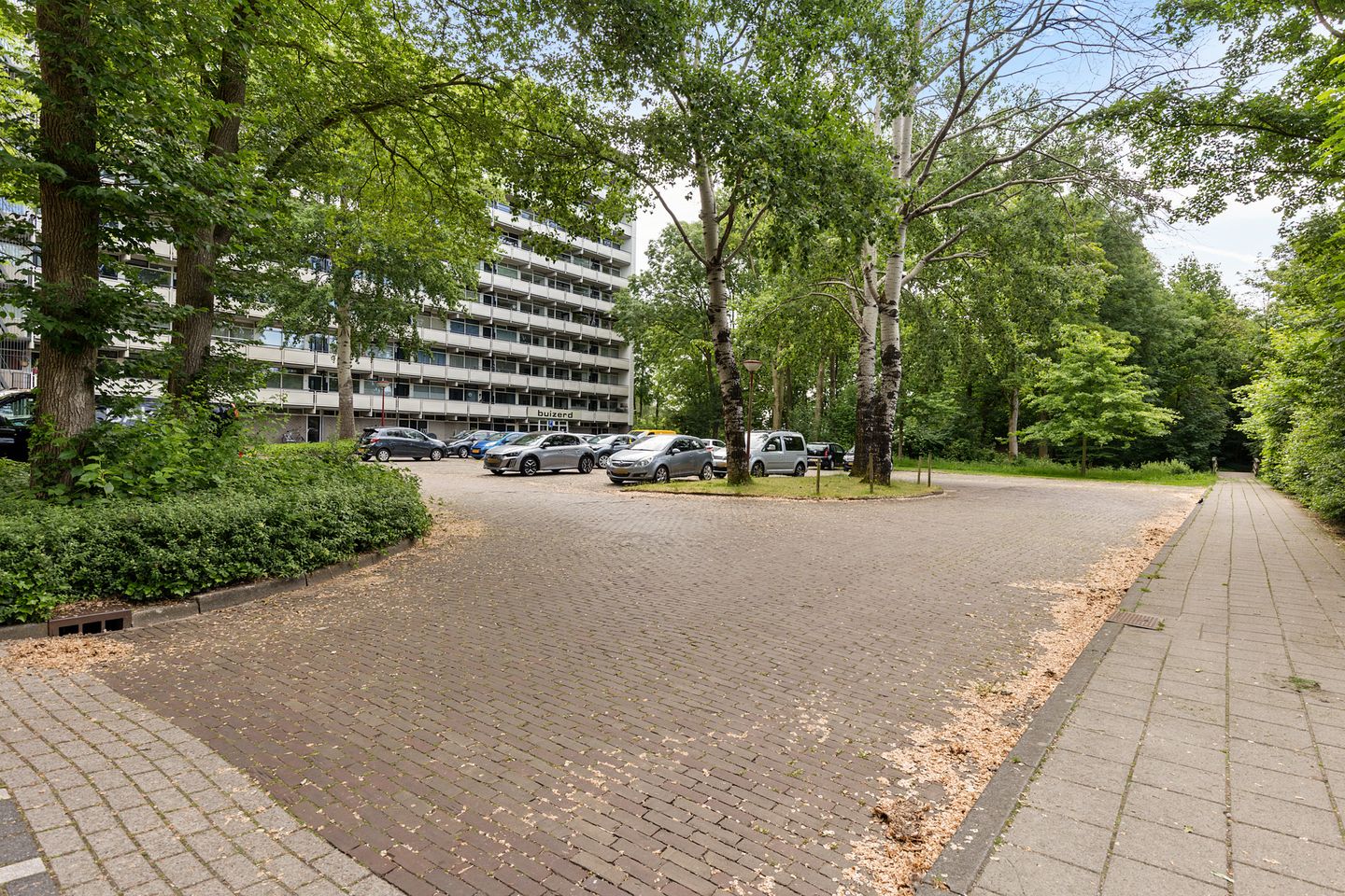 Foto 40 van Buizerd 34