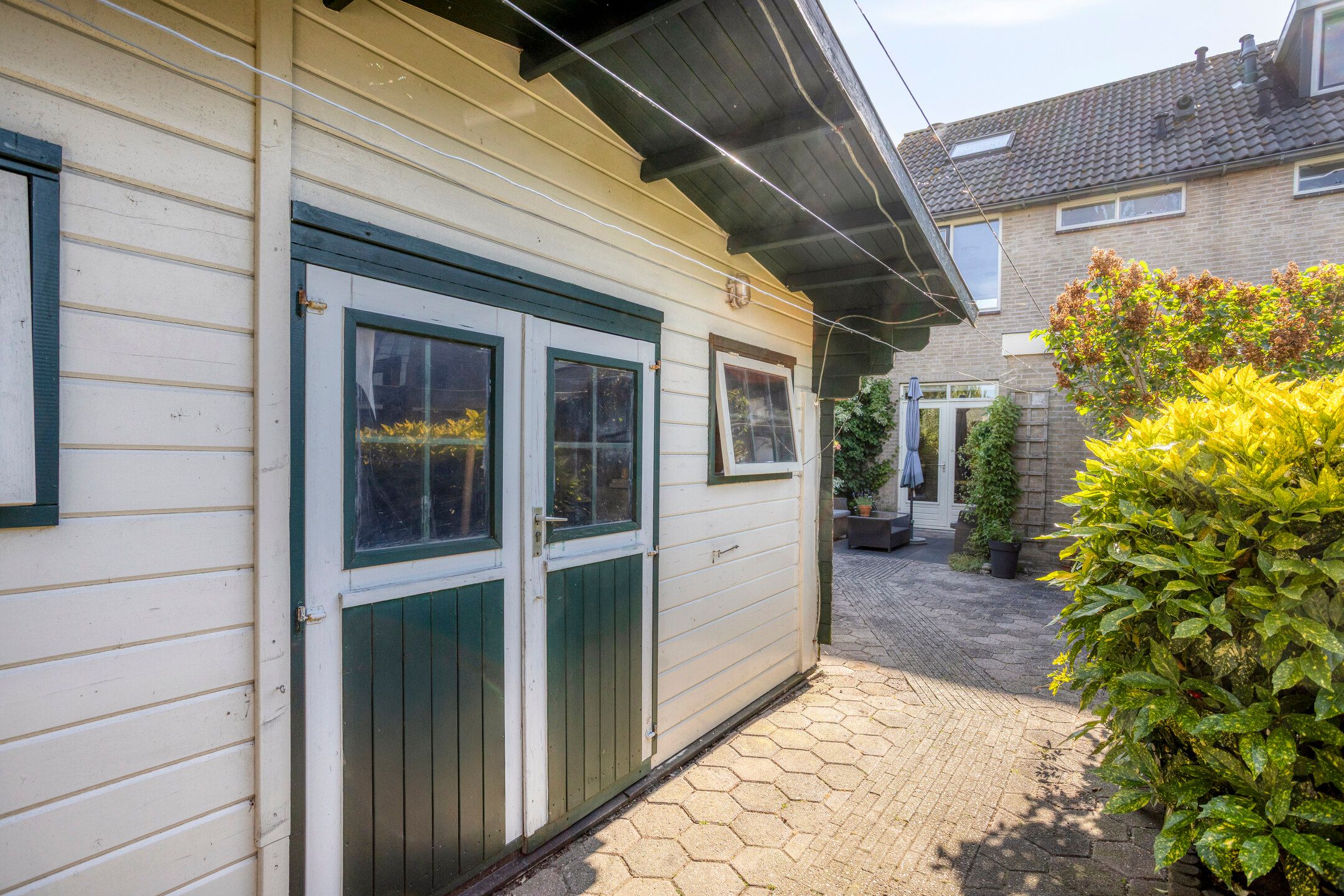 Photo 33 of Zwanebloem 1