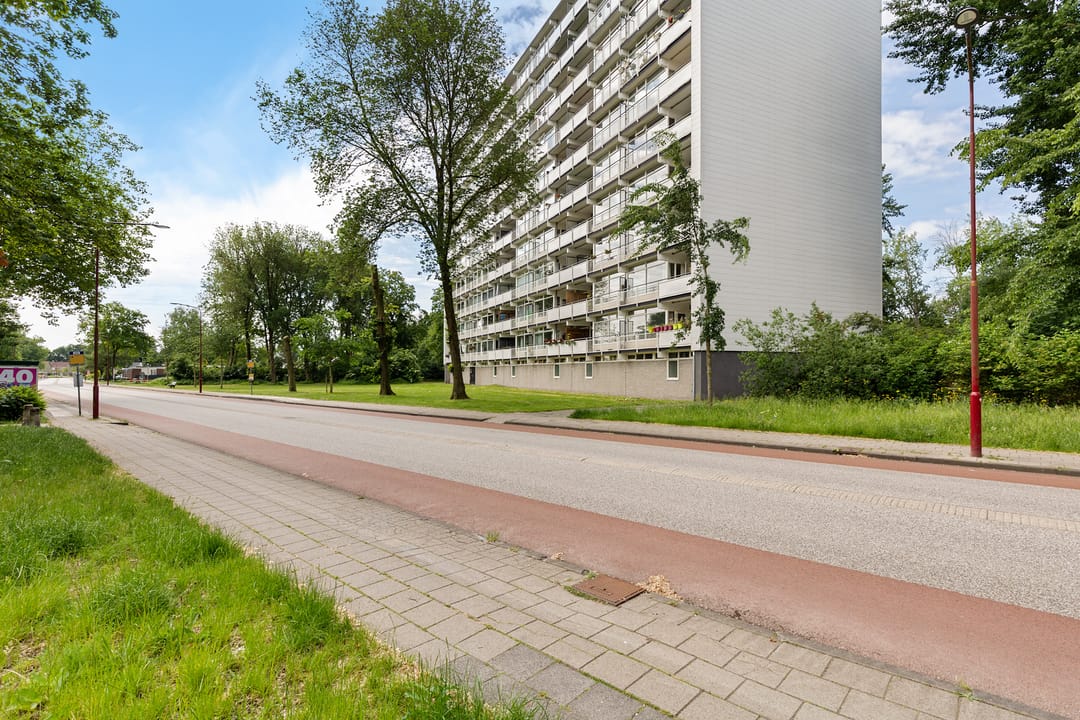 Foto 46 van Buizerd 34