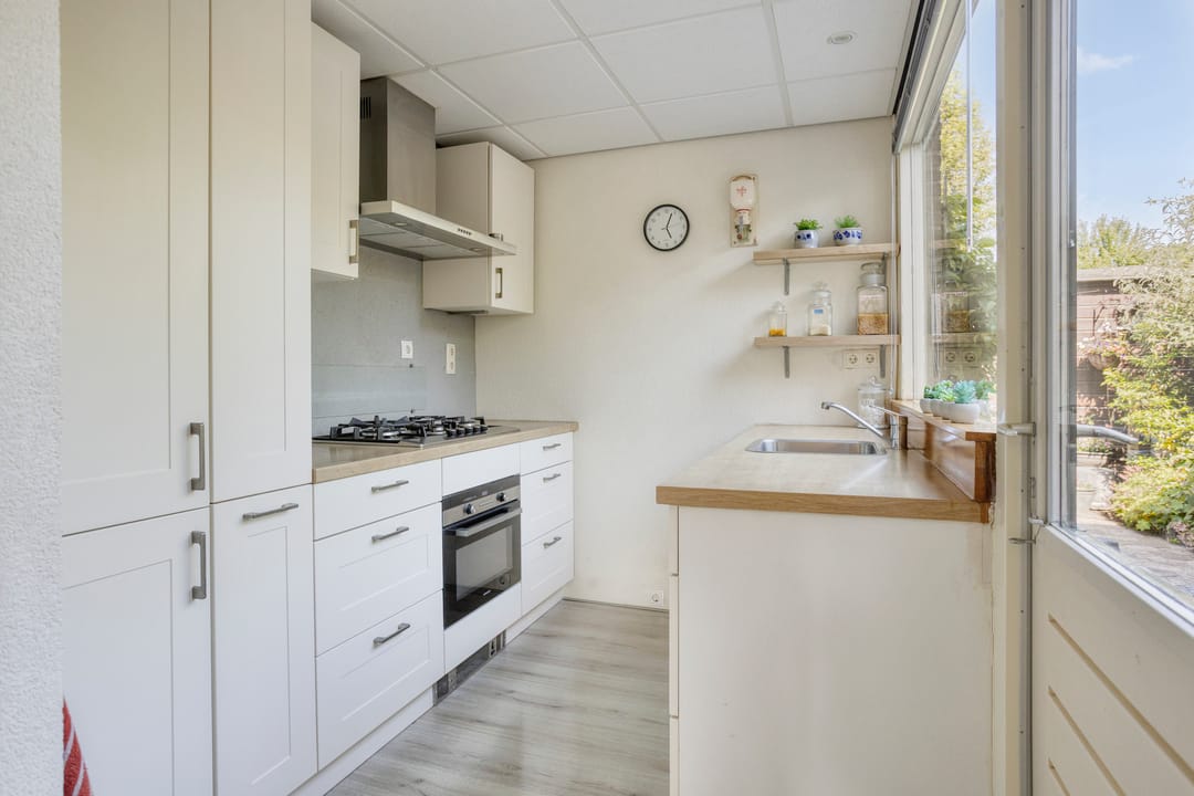 Photo 11 of Zwanebloem 1