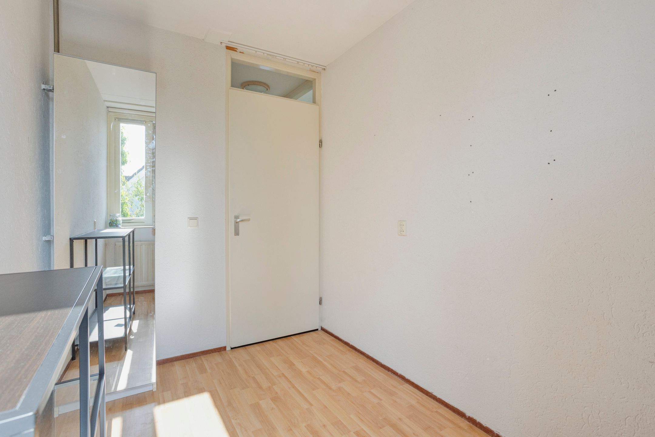 Photo 24 of Zwanebloem 1