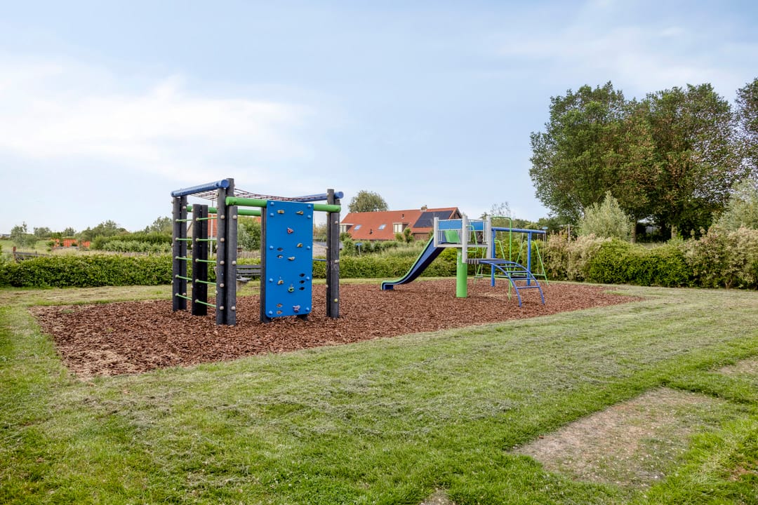 Photo 43 of Zwanebloem 1