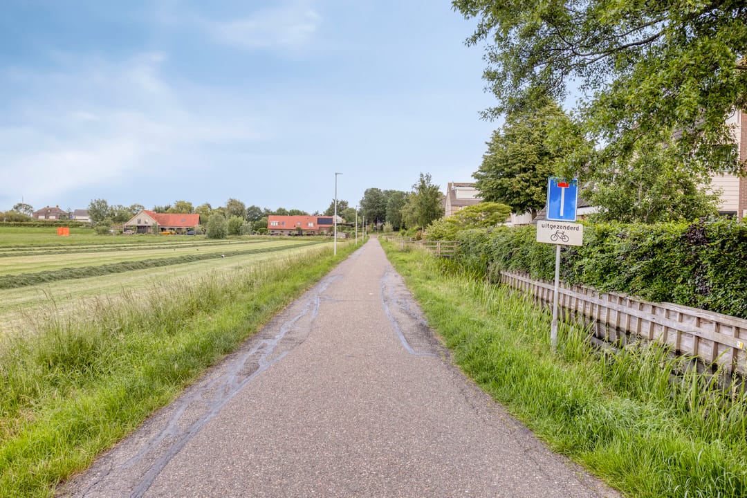 Photo 41 of Zwanebloem 1