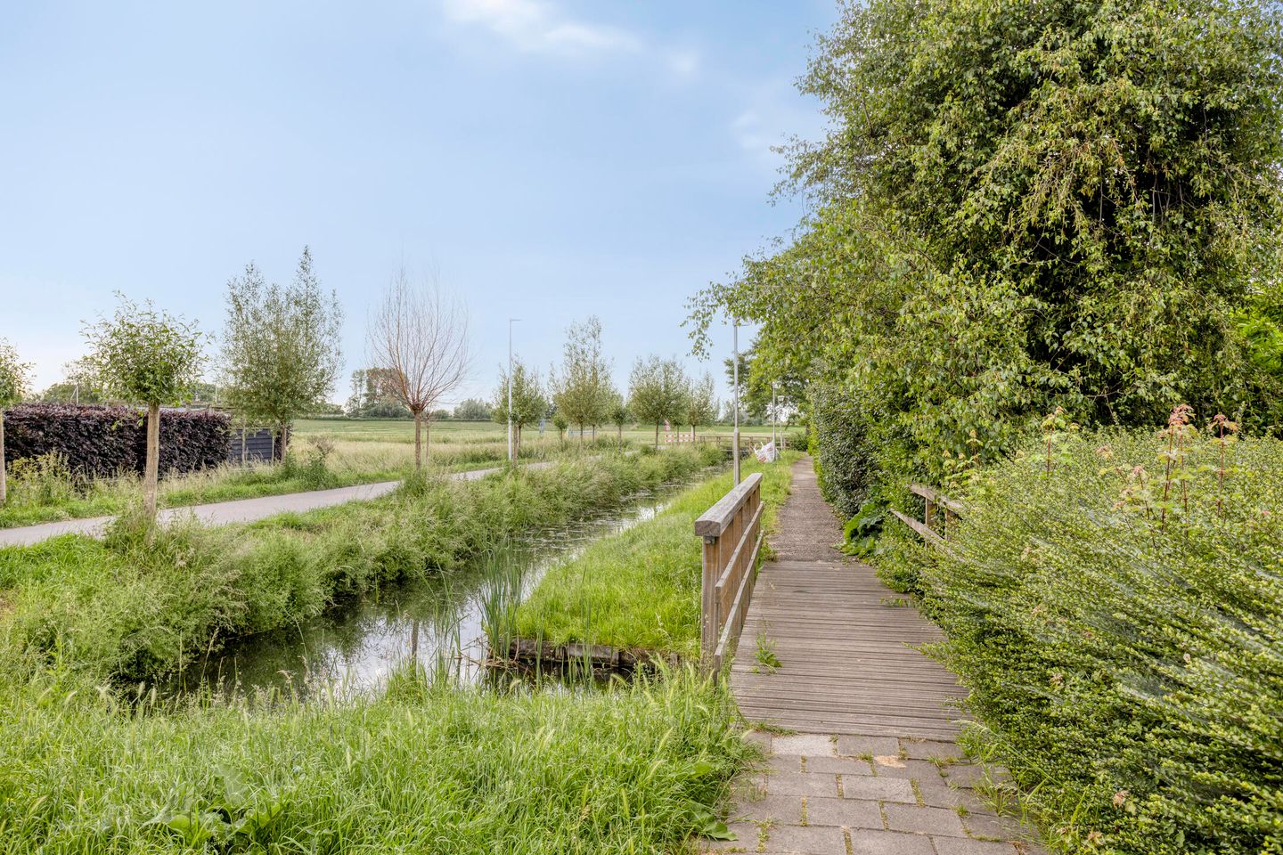 Photo 40 of Zwanebloem 1