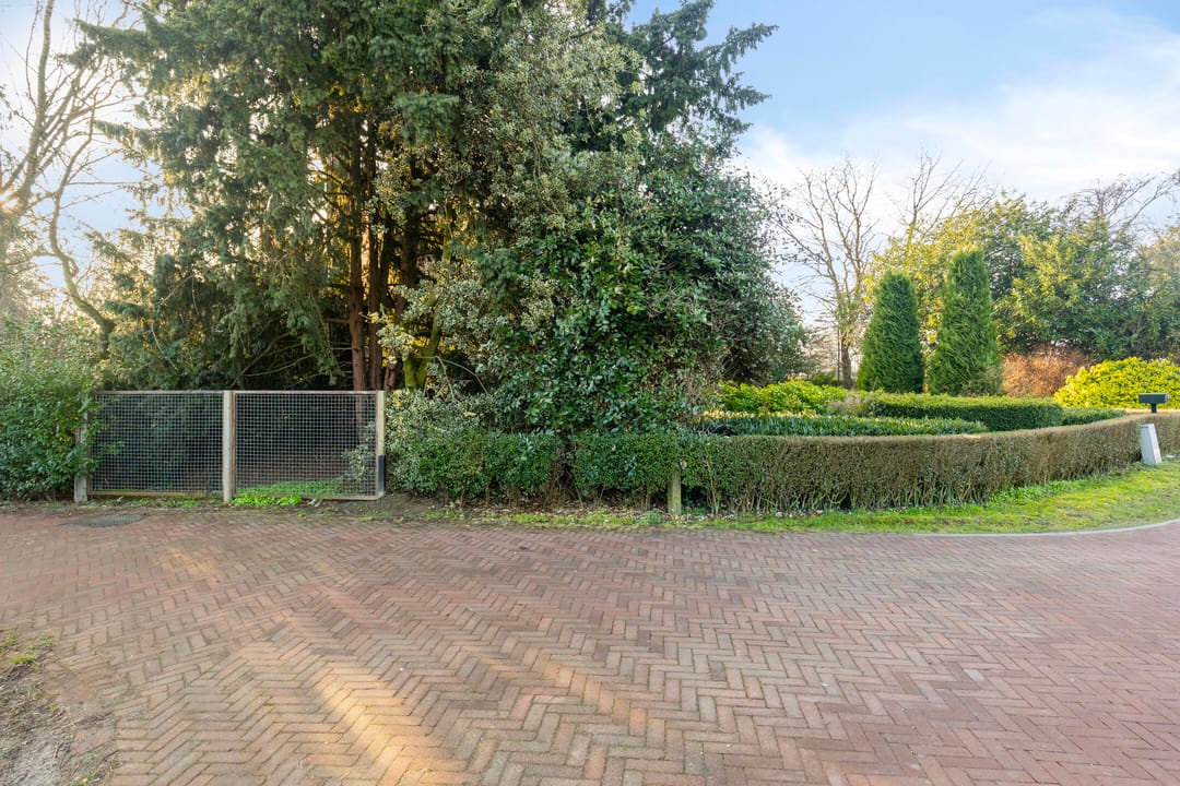 Photo 37 of Zesweg 6
