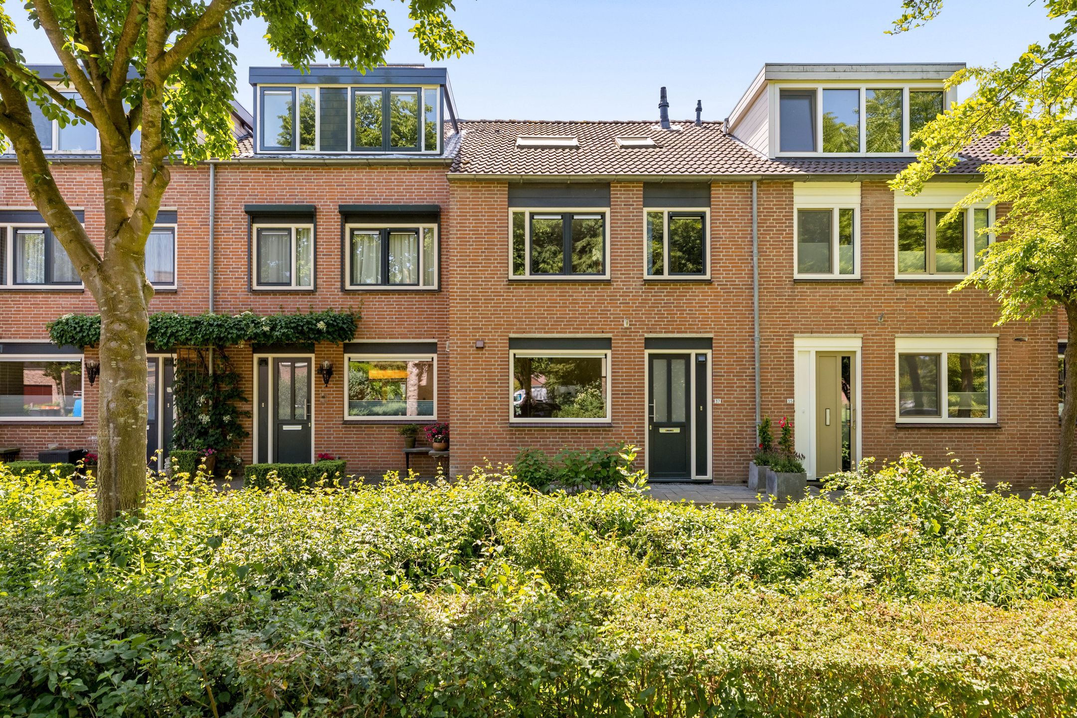 Foto 3 van Dovenetelhof 37
