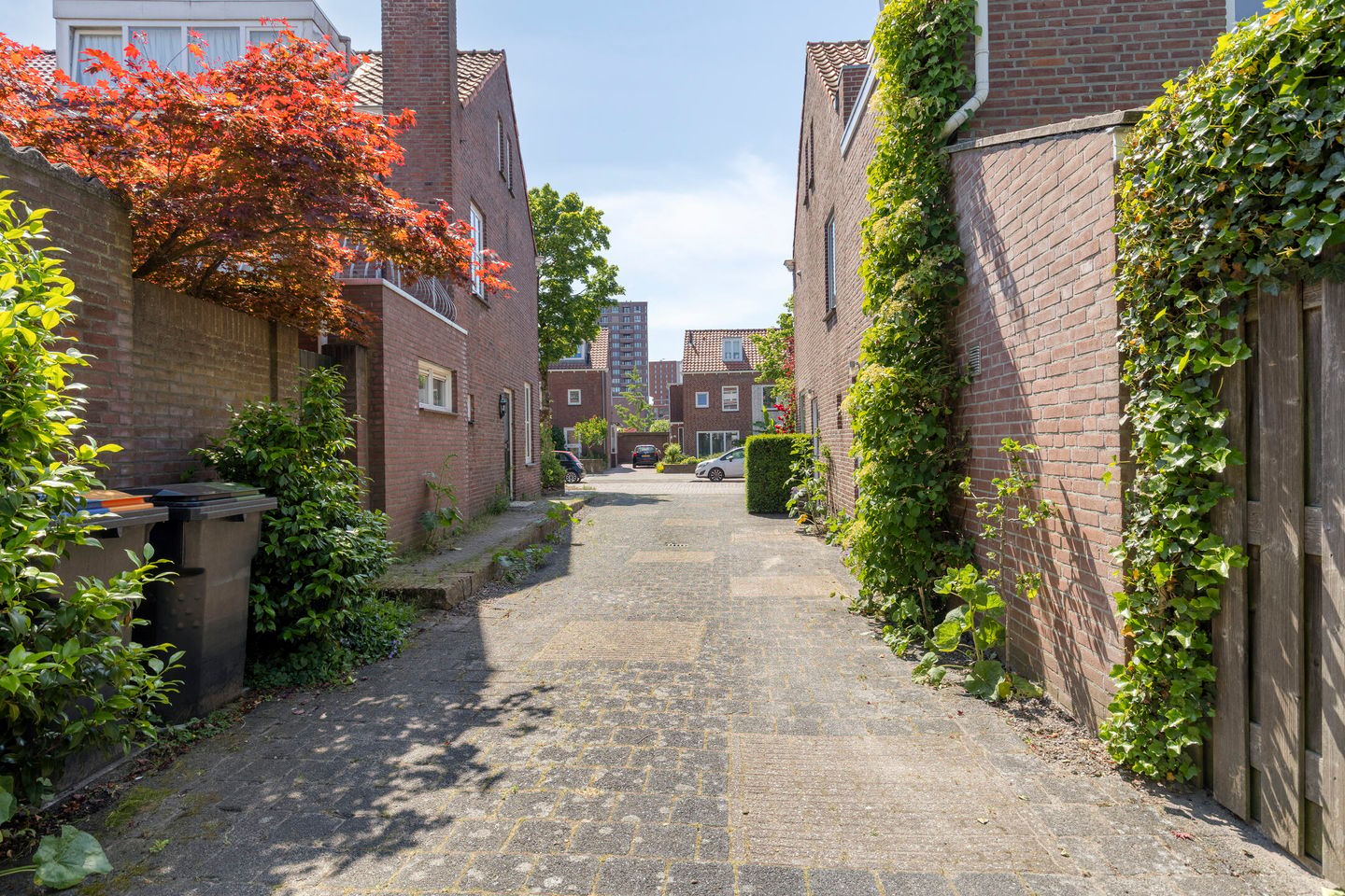 Foto 49 van Hogendriesstraat 20