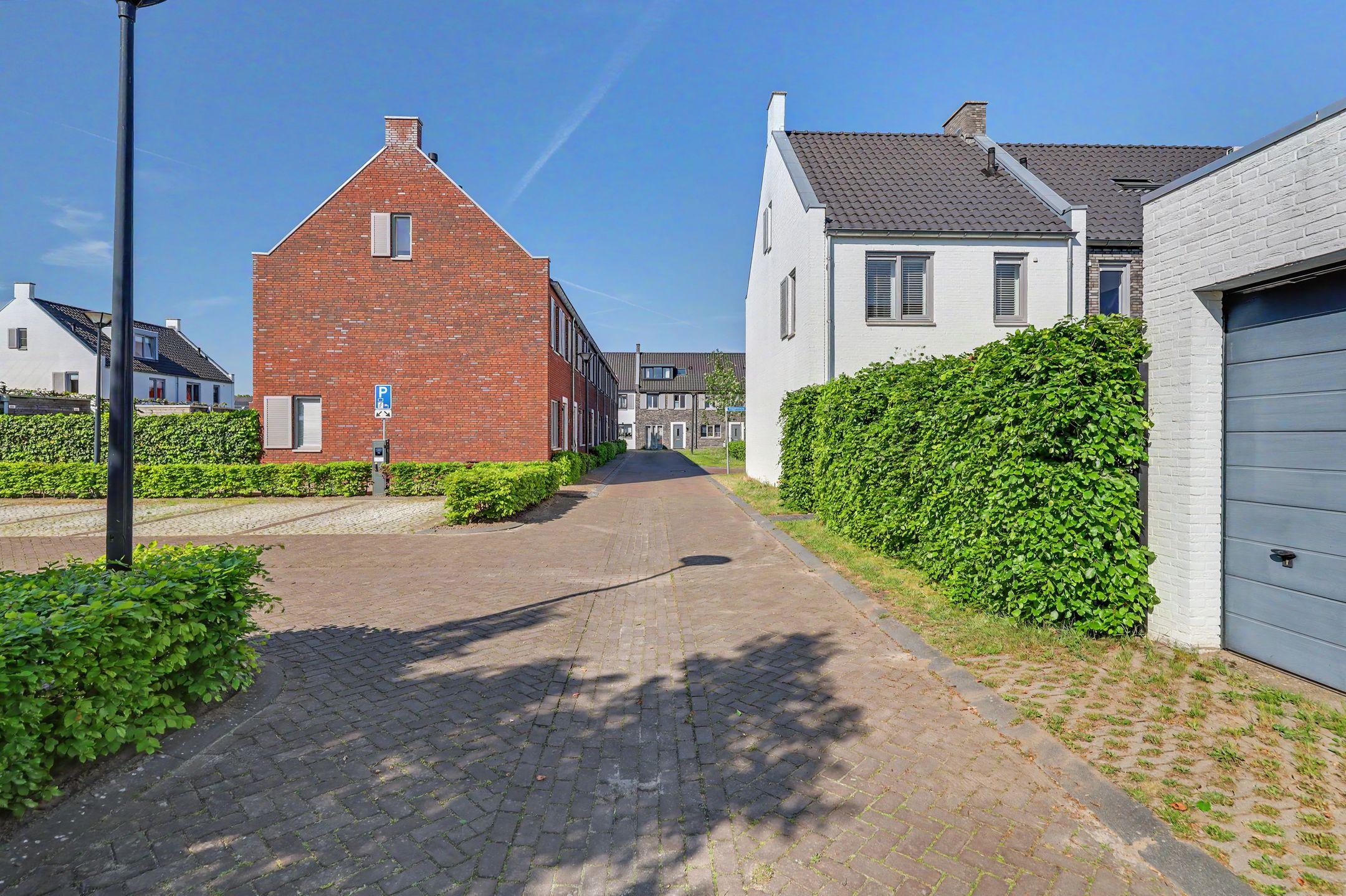 Foto 42 van Dagpauwoog 2