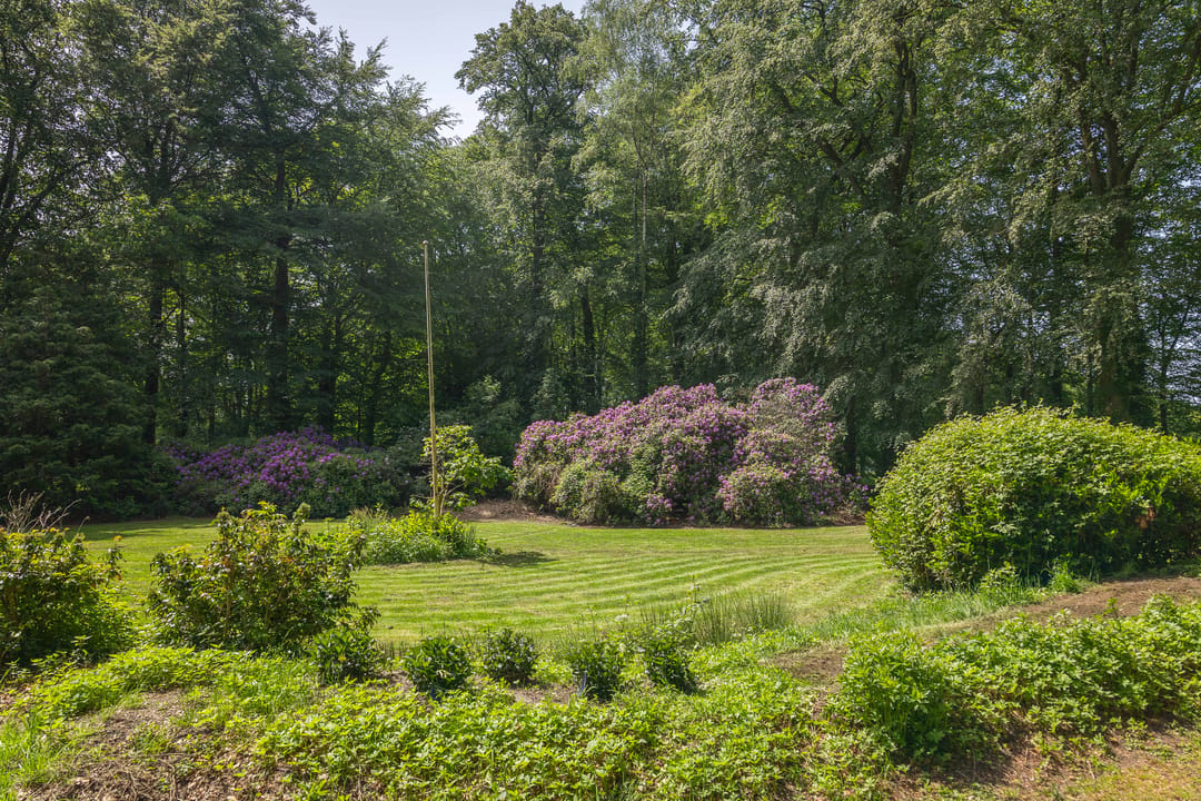 Idyllic Country House 't Onvree in a Forested Estate near Lochem — 13