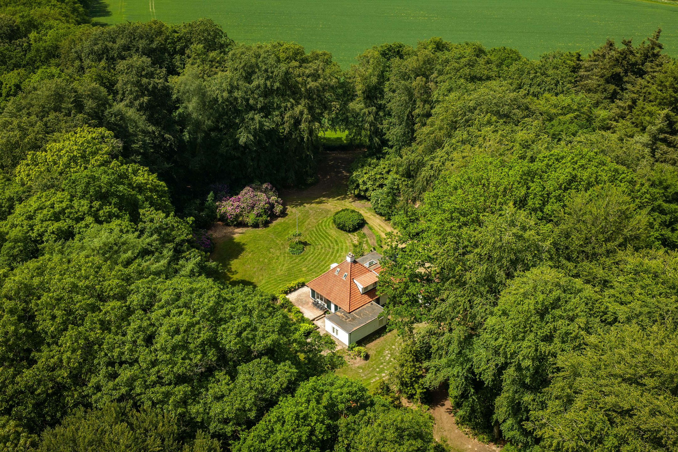 Idyllic Country House 't Onvree in a Forested Estate near Lochem — 9
