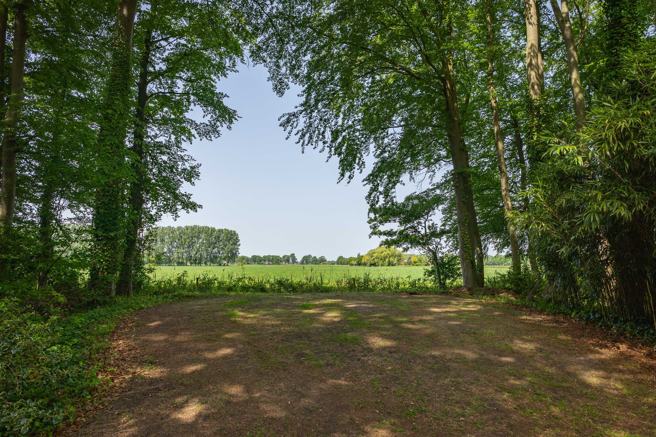 Idyllic Country House 't Onvree in a Forested Estate near Lochem — 51