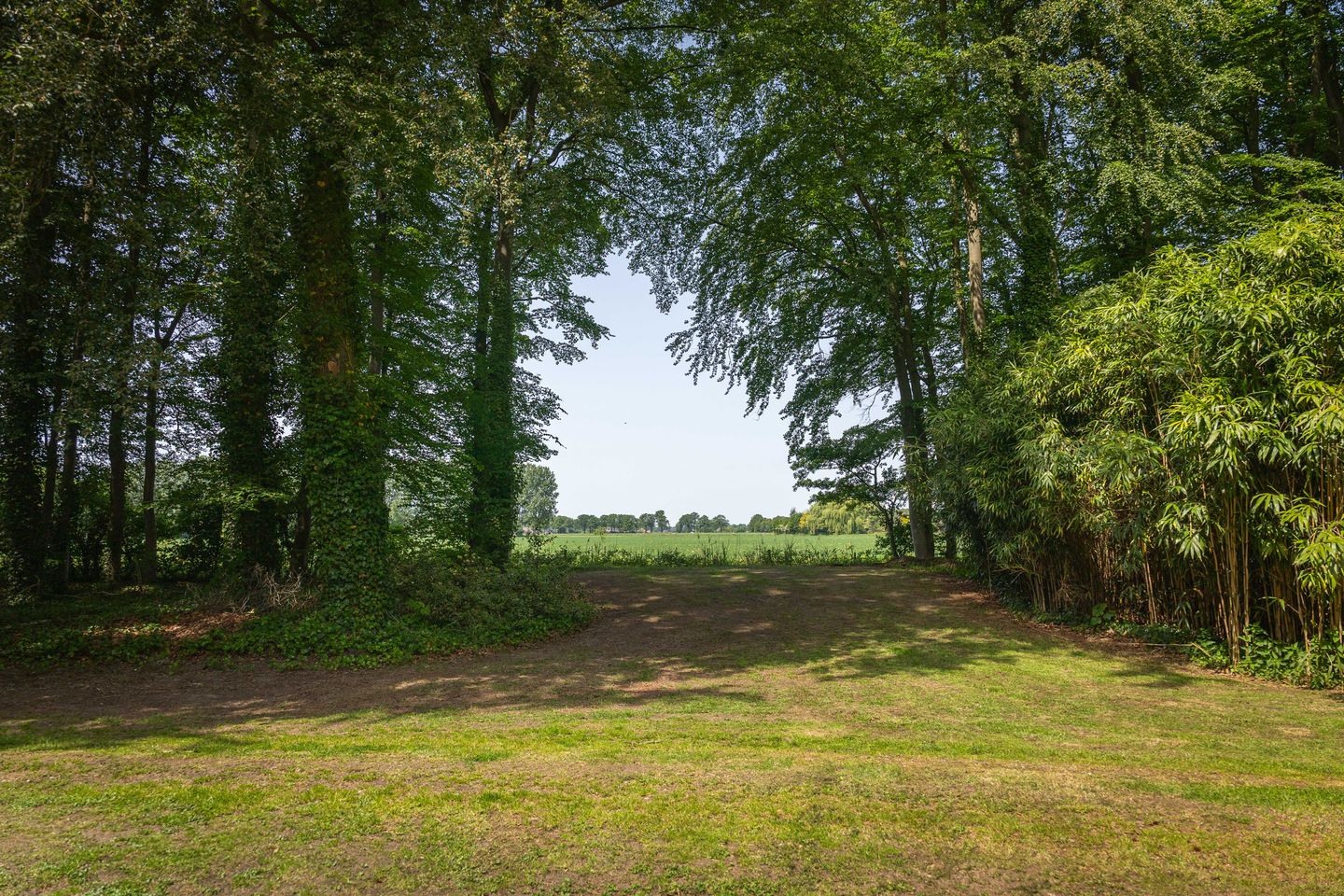Idyllic Country House 't Onvree in a Forested Estate near Lochem — 14