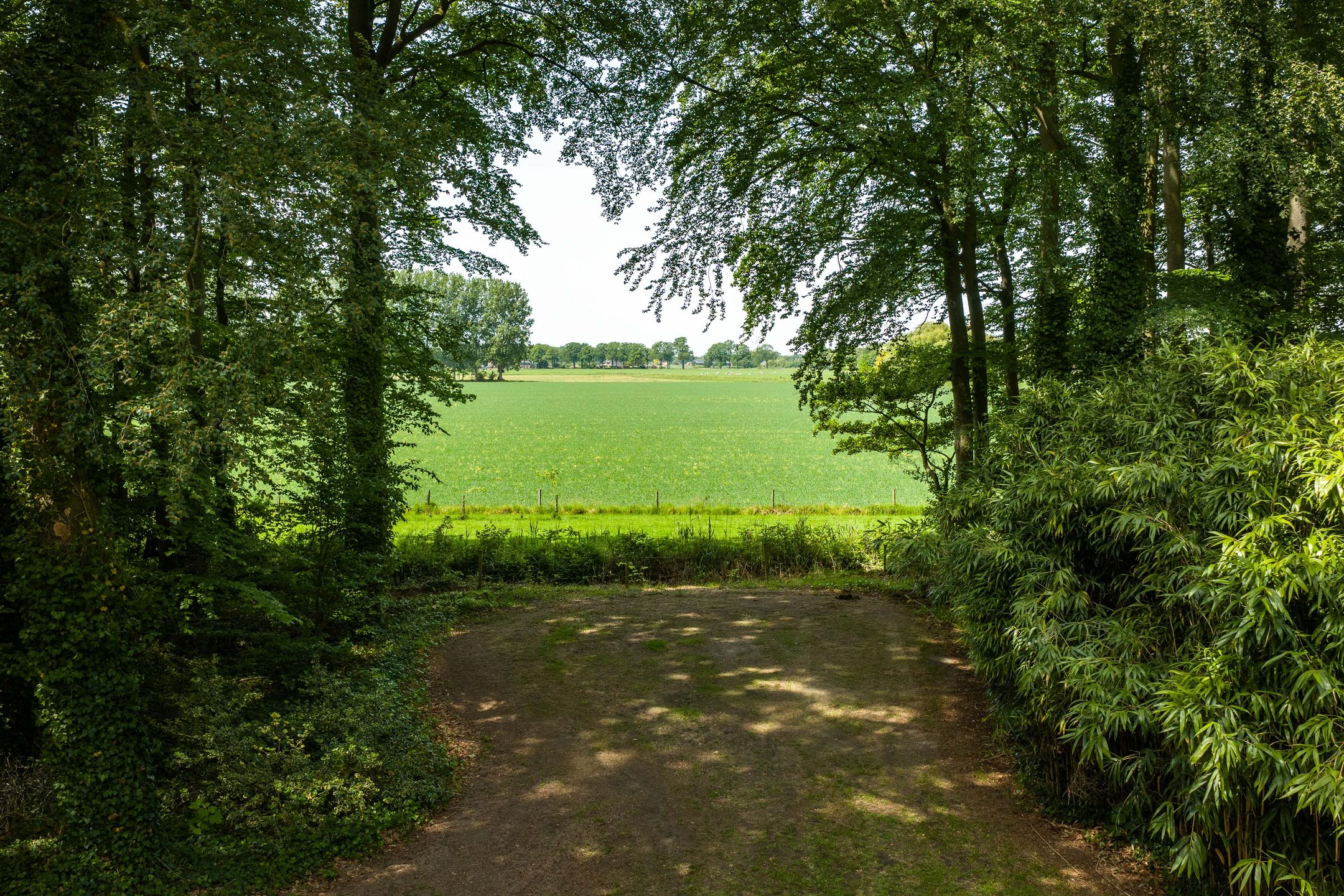 Idyllic Country House 't Onvree in a Forested Estate near Lochem — 12