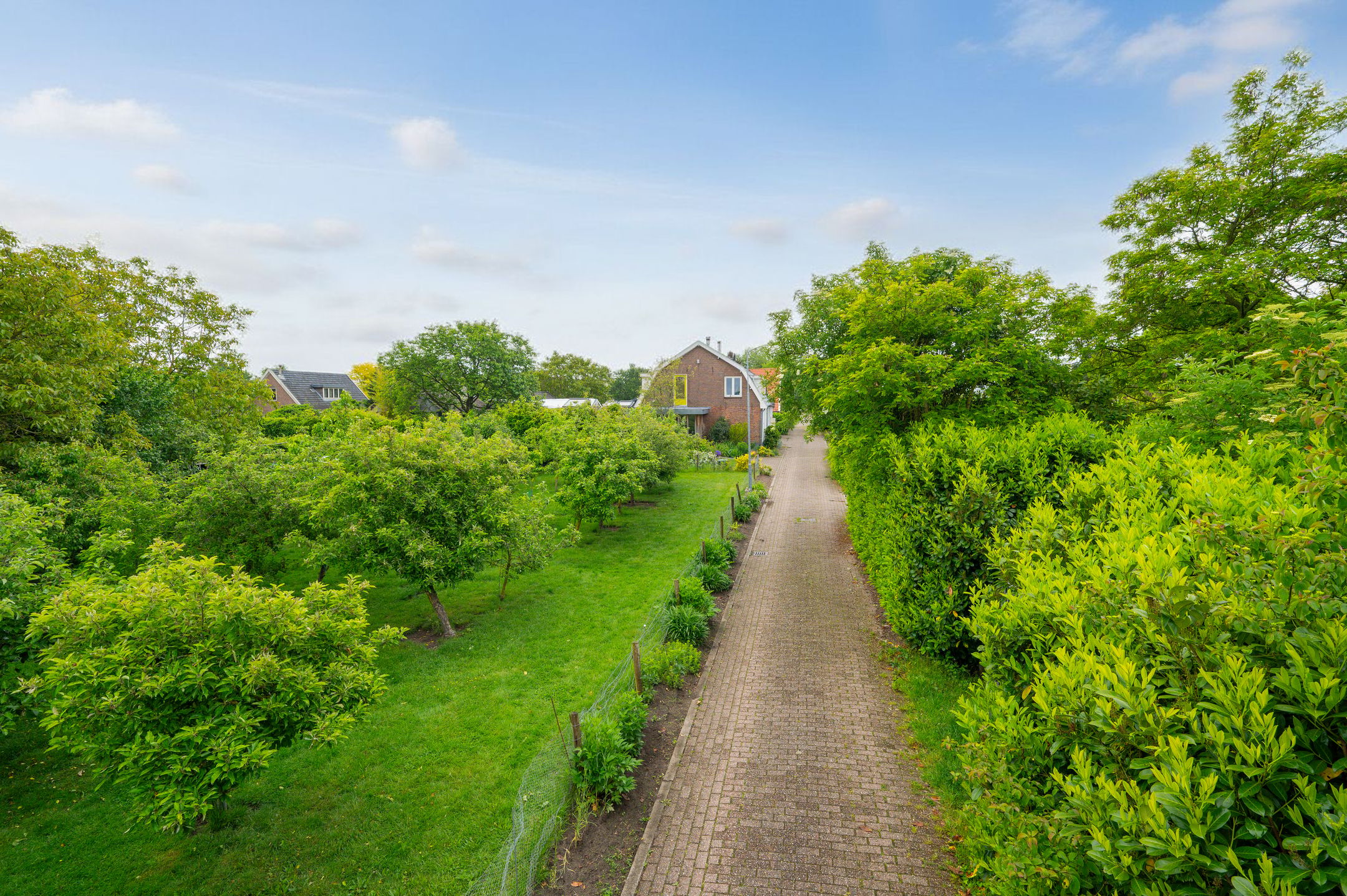 Foto 30 van Bongerdstraat 11