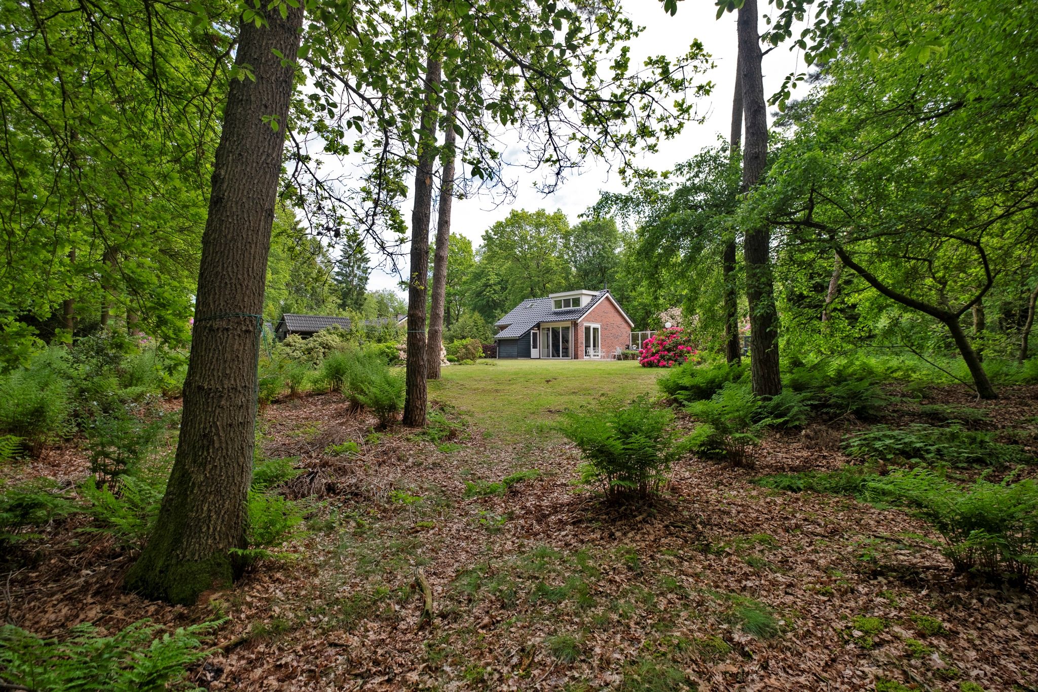 Foto 42 van Hoogte der Heide 10-2