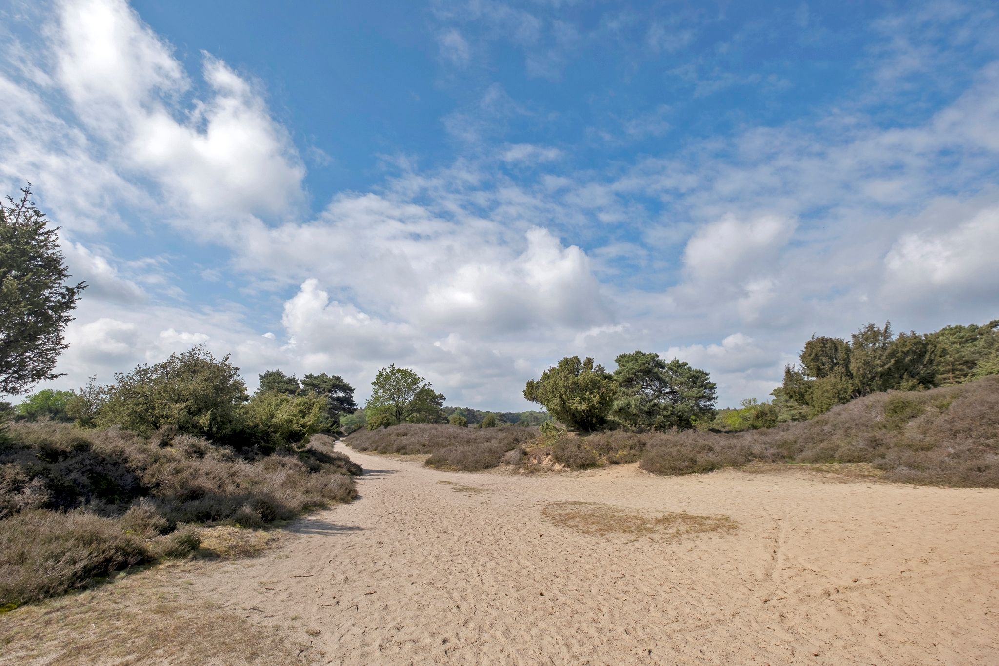 Foto 48 van Hoogte der Heide 10-2